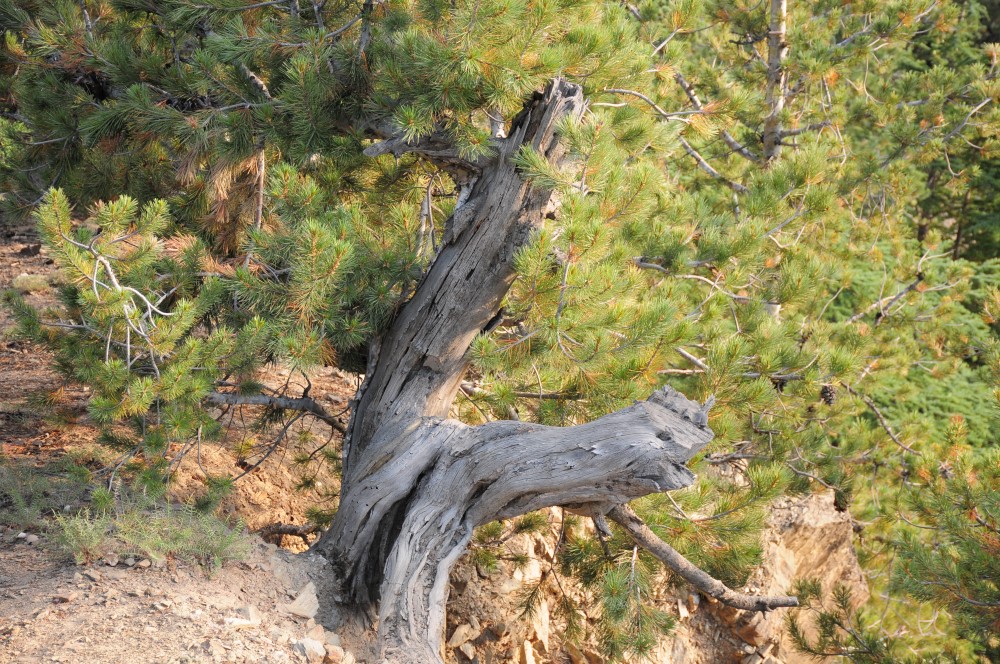 DSC_8461.JPG