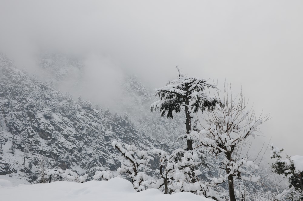 DSC_6657.JPG