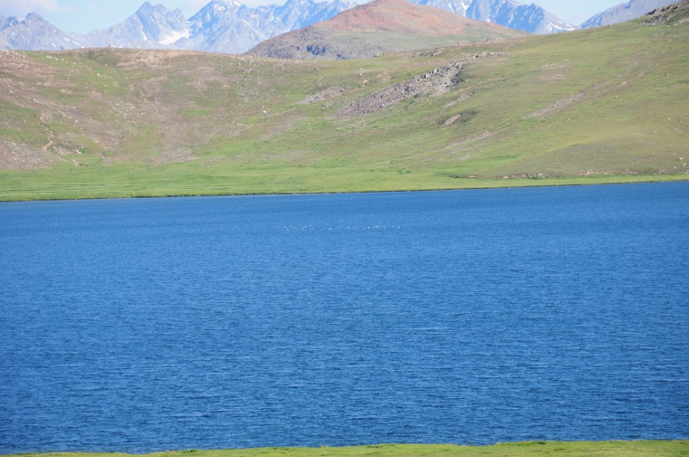 DSC_5905.JPG