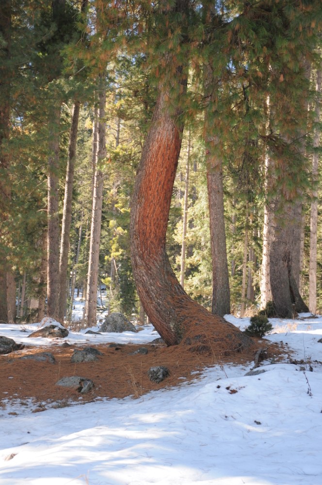 DSC_7536.JPG
