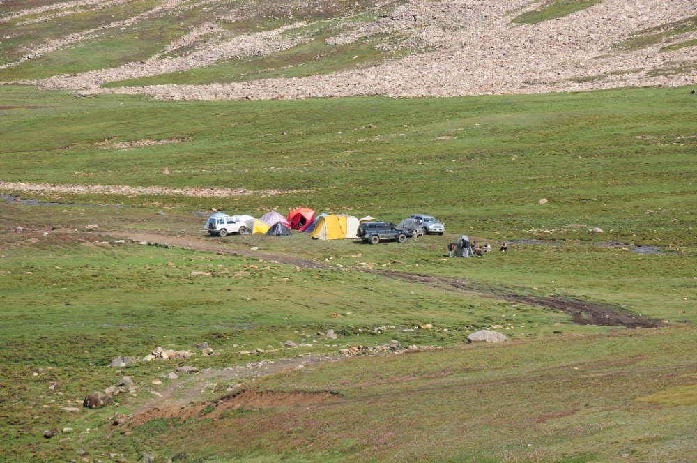 DSC_7902.JPG