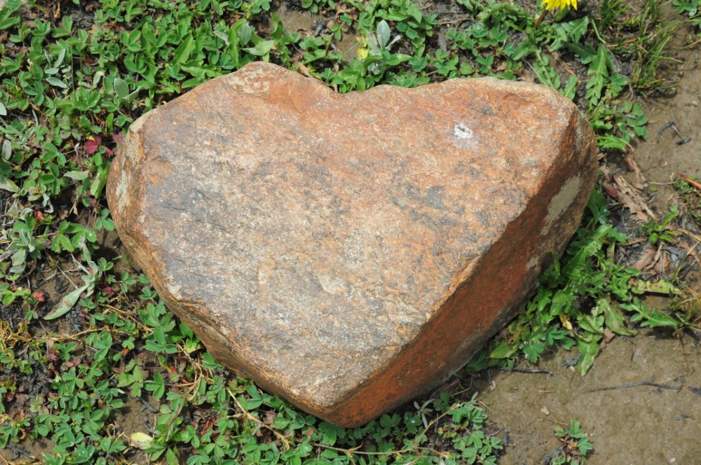 DSC_7929.JPG