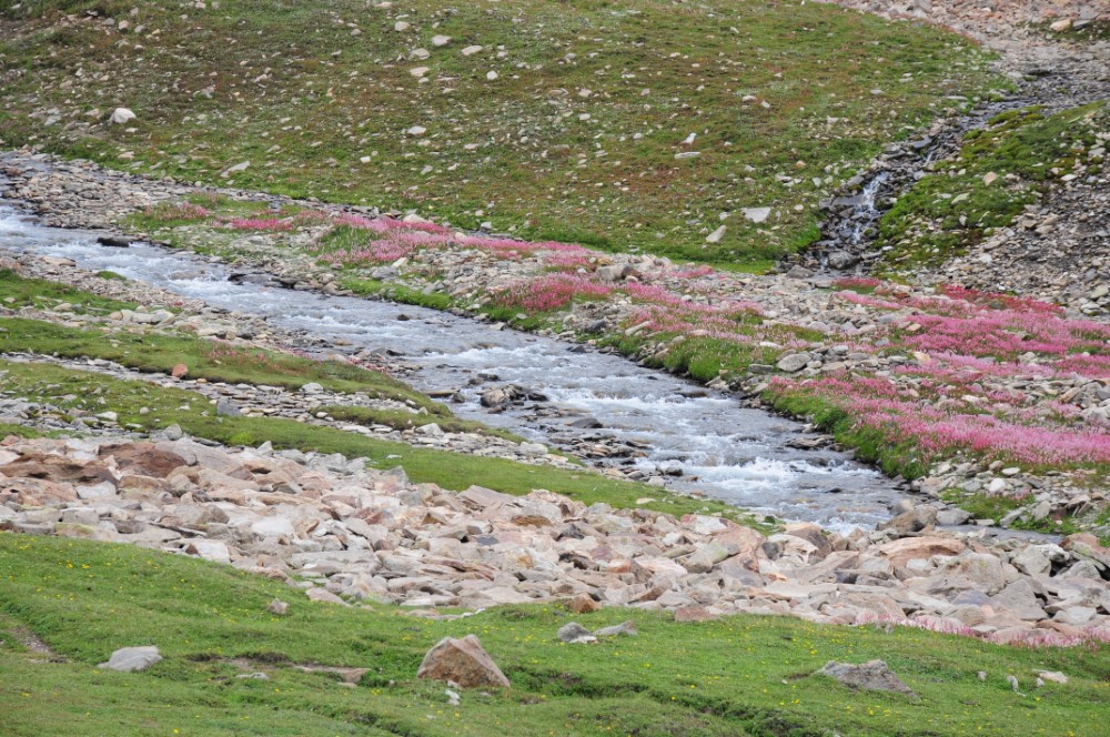 DSC_7930.JPG