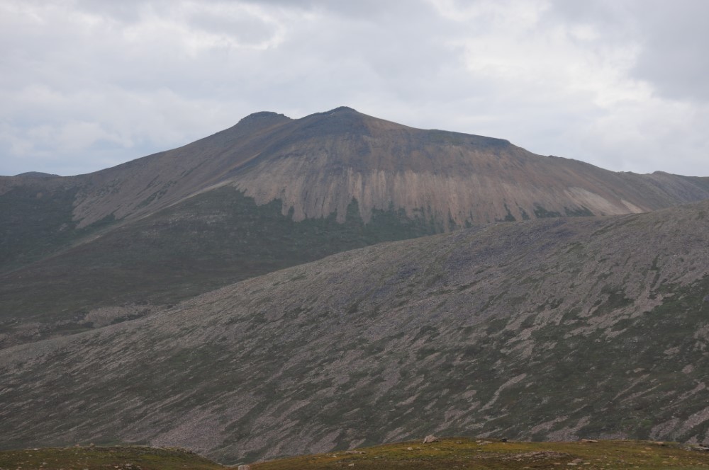 DSC_7947.JPG