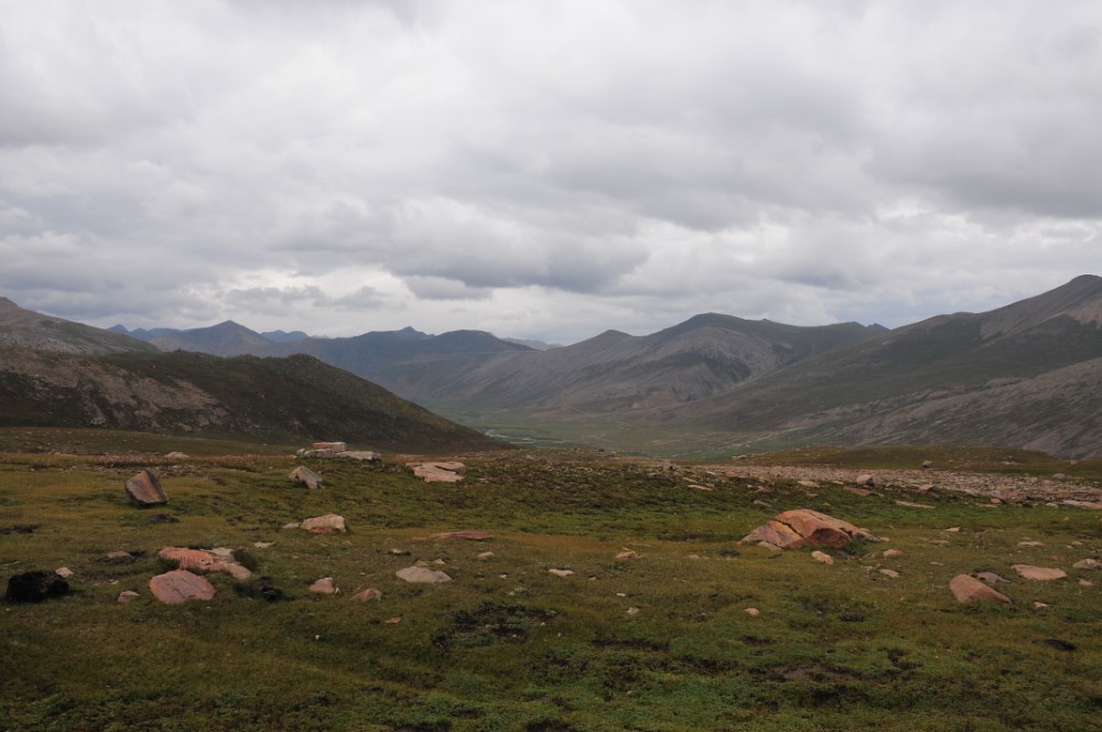DSC_7949.JPG