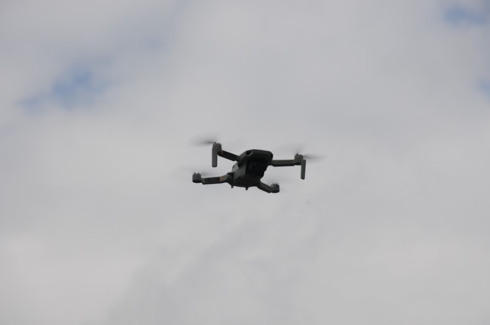 DSC_7953.JPG